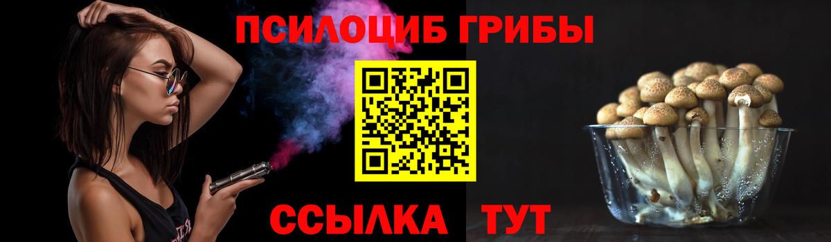 Галлюциногенные грибы мухоморы Петрозаводск